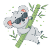 Koala on bamboo with glasses