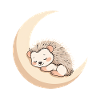 Moon Sleep Hedgehog
