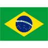 Brazilian Flag Geometric Print