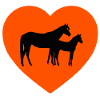 horses