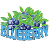 Blueberry