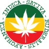 Cannabis - Indica - Sativa - Ruderalis - Afghanica