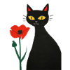 Black cat with poppies