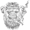 Chimp Smoking Portrait