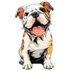 Illustration du chiot bouledogue anglais