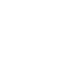 Big Brother Surveillance