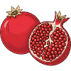 Pomegranate Illustration