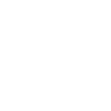 conseiller municipal