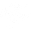 Déclaration pour tous les snowboards féminins