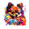 Farbexplosion Pomeranian Portrait