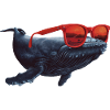 Wal mit Sonnenbrille