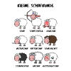 A little sheep knowledge