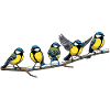 Blue flock on branch