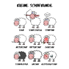 A little sheep knowledge