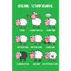 A Brief Sheep Science Poster Edition