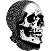 Skull in a net scarf