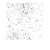 Built From Chaos Graffiti Design