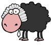 Sheep judge