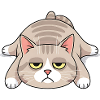 Grimmige Langschläfer-Katze Morgenmuffel
