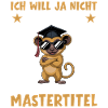 Master's degree passed Master's examination