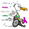 Marathon Seagull – Racing Wheelchair Edition
