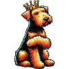 Airedale Terrier Airedales Airedale Lover