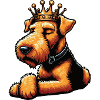 Airedale Terrier Airedales Airedale Lover