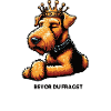 Før du spørger: Airedale Terrier Airedales
