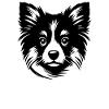 Adopt don't shop 3 (dark)