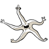 Skurriler Seestern