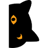 Chat noir