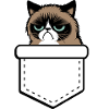 grumpy