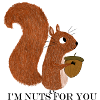 Eichhörnchen mit Eichel
