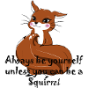 Sei ein Eichhörnchen