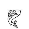 The Art of Fishing