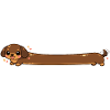 Long dachshund cute