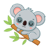 Bébé Koala sur une branche