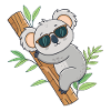 Koala Branche Soleil
