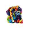 Boxer Dog Animal
