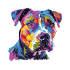 Hund Dog Graffiti