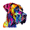 Dog Dog Portrait