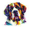Ritratto colorato di cane PopArt