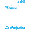 Né en 1956 – Frôler la perfection 