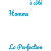 Né en 1966 – Frôler la perfection 