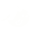 narwhal