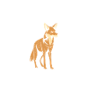 chacal