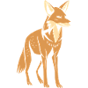 jackal