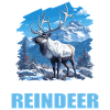 Reindeer Reindeer