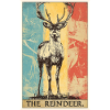 Reindeer Reindeer