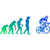 In a nutshell, Roadbike